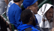 Talking Blue Jays GIF by Toronto Blue Jays