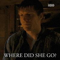 A Knight Of The Seven Kingdoms Dunk GIF by Game of Thrones