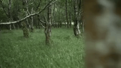 GIF by EDEN