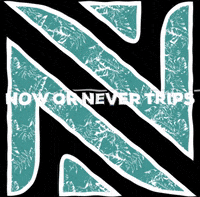 NowOrNeverTrips nowornevertrips GIF