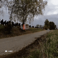 Toyota Yaris Motorsport GIF by FIA World Rally Championship
