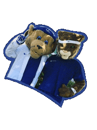 UKhealthsciences healthcare kentucky wildcat ukchs Sticker