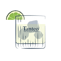 Cheers Tequila Sticker by Tanteo
