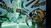Volleyball Bison GIF by NDSU Athletics