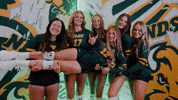Volleyball Bison GIF by NDSU Athletics