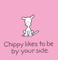 Ilove You Puppy Love GIF by Chippy the Dog