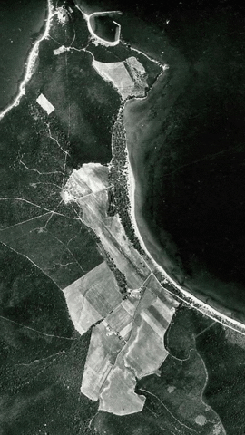 Simongip giphyupload GIF