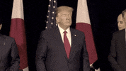 Trump Seriously GIF