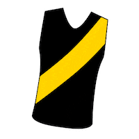 Afl Footy Sticker by RichmondFC