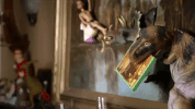 season 5 episode 10 GIF by Workaholics