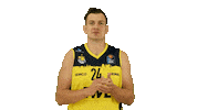Ewe Baskets Basketball Sticker by EWE Baskets Oldenburg