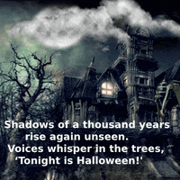 Halloween Night GIF