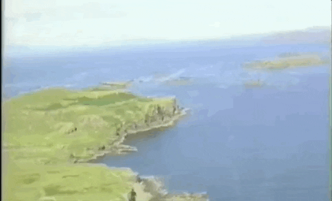 giphyupload GIF