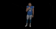 Football Smh GIF by Detroit Lions