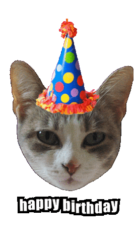 Happy Birthday Cat Sticker