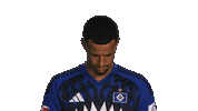 Look Up Hamburger Sv Sticker by Bundesliga