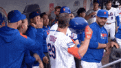 Home Run Celebration GIF by New York Mets