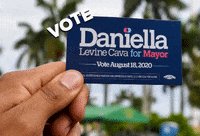dlcformayor politics miami activism mayor GIF