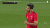 Sl Benfica Win GIF by Sport Lisboa e Benfica