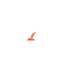 Beach Holiday Sticker by Daycation