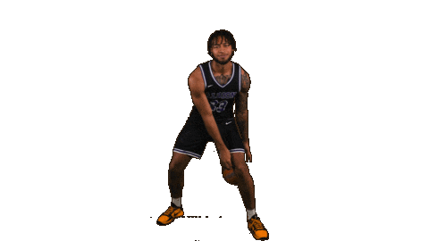 Ppp D3 Sticker by Albion College