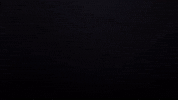 Lbfc GIF by Lionsbridge FC