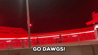 Stadium Glows Red for Bulldogs Natty Victory