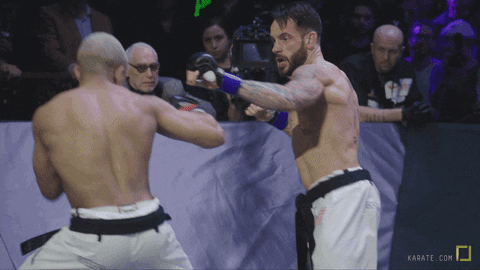 fight mma GIF by Karate Combat