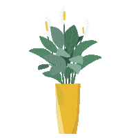 Plants Sticker by Architectural Digest Mexico