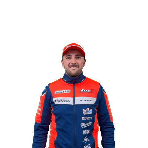 Boiserie Gagner Sticker by Luc1