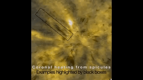 tulsimo giphygifmaker GIF
