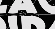Black Friday Ecommerce GIF by NewQuest