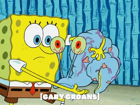 season 5 GIF by SpongeBob SquarePants