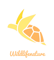 Haerefortravelers Writerhaere Sticker by haere