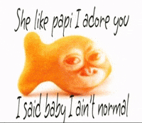 caidnakacmb caidn caidnakacmb papi i adore you GIF