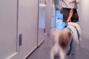 Let's go on a walk! Yeah buddy!