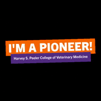 Clemson University Sc GIF by Clemson Vet Med