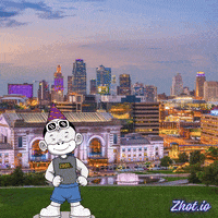 United States Usa GIF by Zhot
