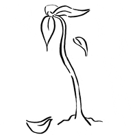 rikkipaepke flower flowers plant plants GIF