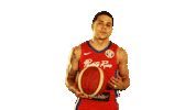 Puerto Rico Game Sticker by FIBA