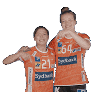 Orange Handball Sticker by Odense Håndbold