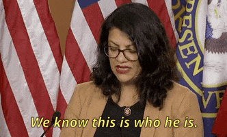 news rashida tlaib GIF