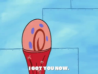 season 6 episode 21 GIF by SpongeBob SquarePants