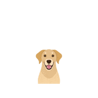 Yellow Lab Dog Sticker
