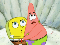 season 6 GIF by SpongeBob SquarePants