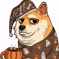 Fall Season October GIF by Doge Pound