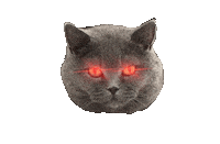 Meow Get It Sticker by Marcel Katz / The Art Plug