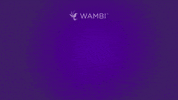 Fun Love GIF by Wambi