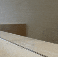 Dog What GIF