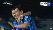 Esteghlal Taj GIF